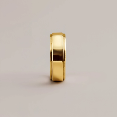 The Minimalist Spinning Ring Gold